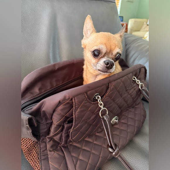 Elegant Quilted Brown Dog Carrier - Picture 15 of 16
